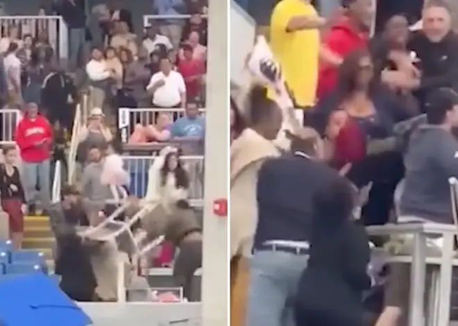 Connecticut community college graduation spirals out of control after 2 families erupt in vicious brawl