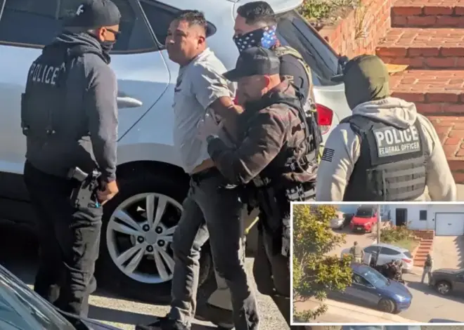 Dramatic moment masked ICE officers drag suspected illegal migrant from his car at gunpoint in San Francisco