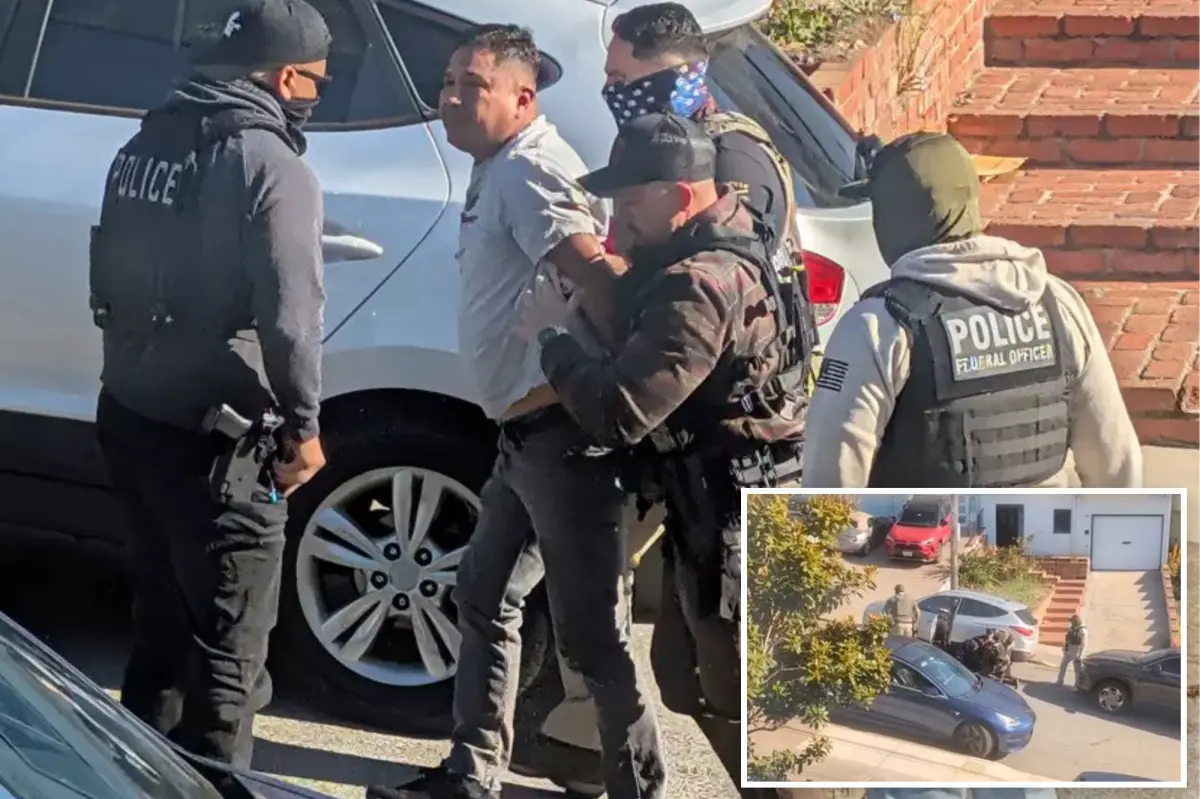 Dramatic moment masked ICE officers drag suspected illegal migrant from his car at gunpoint in San Francisco