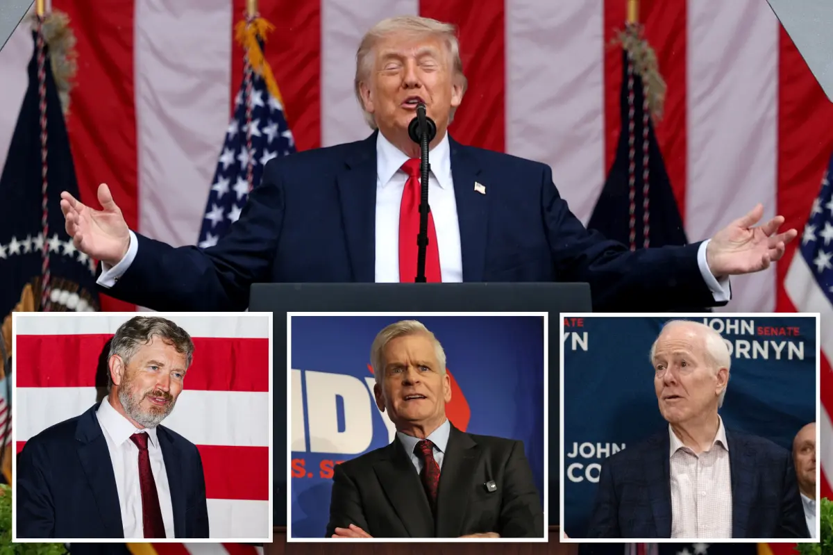 Trump boasts perfect endorsement record in 118 GOP primaries so far in 2026