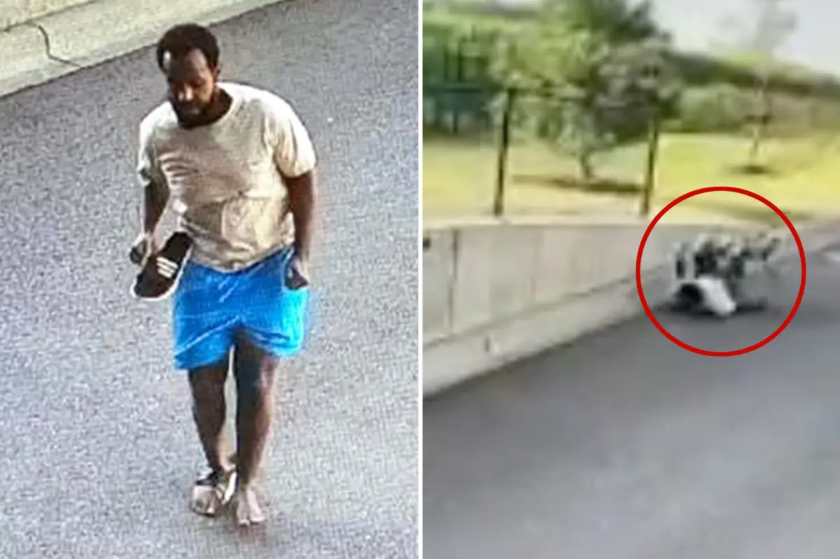 Minnesota fraud suspect hobbles away after jumping from 4th-floor balcony to flee FBI in shocking video
