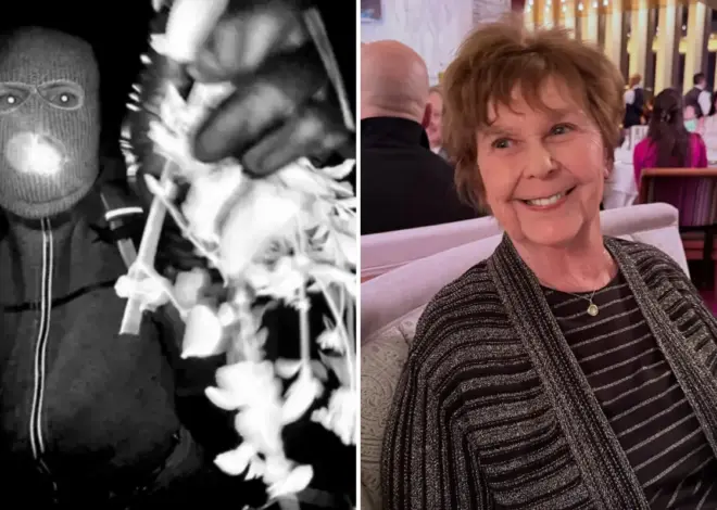 The two details in Nancy Guthrie ransom note that have detectives believing they can crack the case