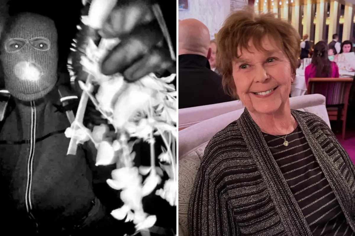 The two details in Nancy Guthrie ransom note that have detectives believing they can crack the case
