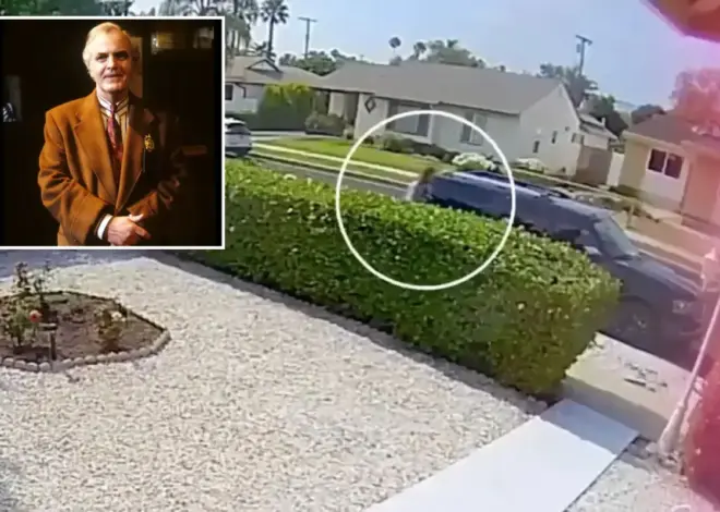 James Handy girlfriend’s son seen calmly walking away from where ‘Top Gun: Maverick’ actor was stabbed to death