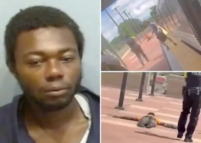 Atlanta train passenger was stabbed 20 times after homeless thug slit her throat in random attack on MARTA