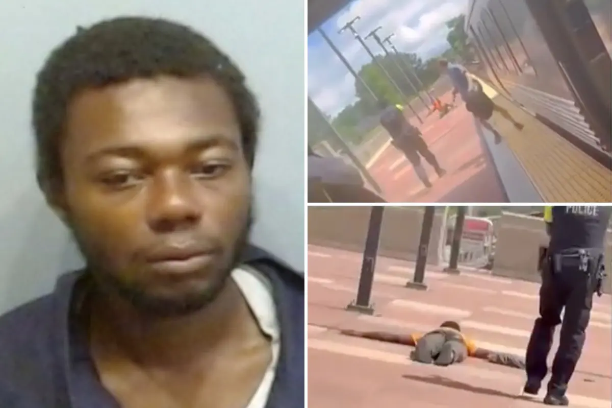 Atlanta train passenger was stabbed 20 times after homeless thug slit her throat in random attack on MARTA
