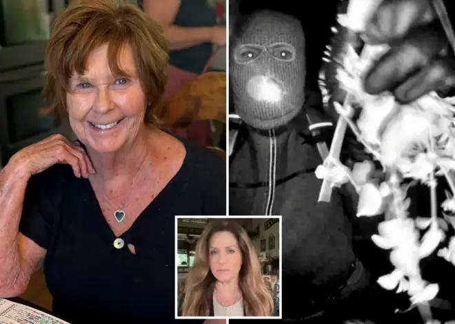 Nancy Guthrie suspects sent latest ransom note as ‘mea culpa’ to avoid death penalty, ex-FBI agent says