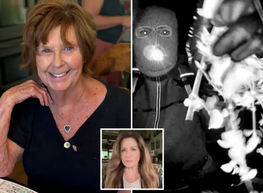 Nancy Guthrie suspects sent latest ransom note as ‘mea culpa’ to avoid death penalty, ex-FBI agent says