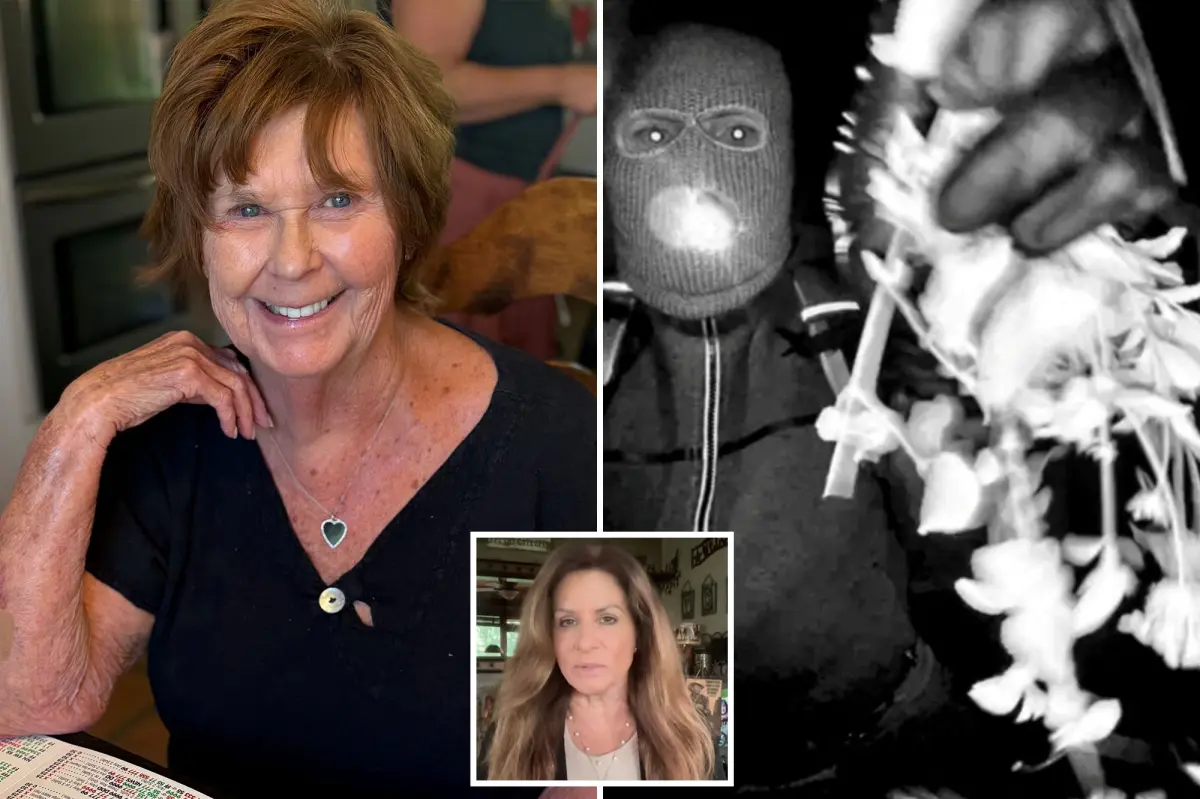 Nancy Guthrie suspects sent latest ransom note as ‘mea culpa’ to avoid death penalty, ex-FBI agent says