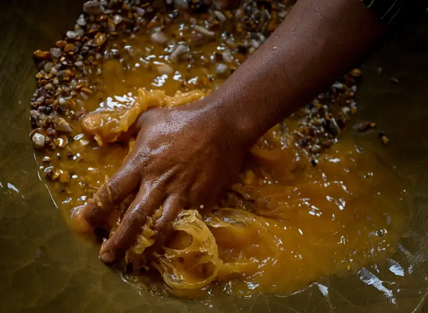 US must halt the terror-driven gold rush that’s looting Venezuela