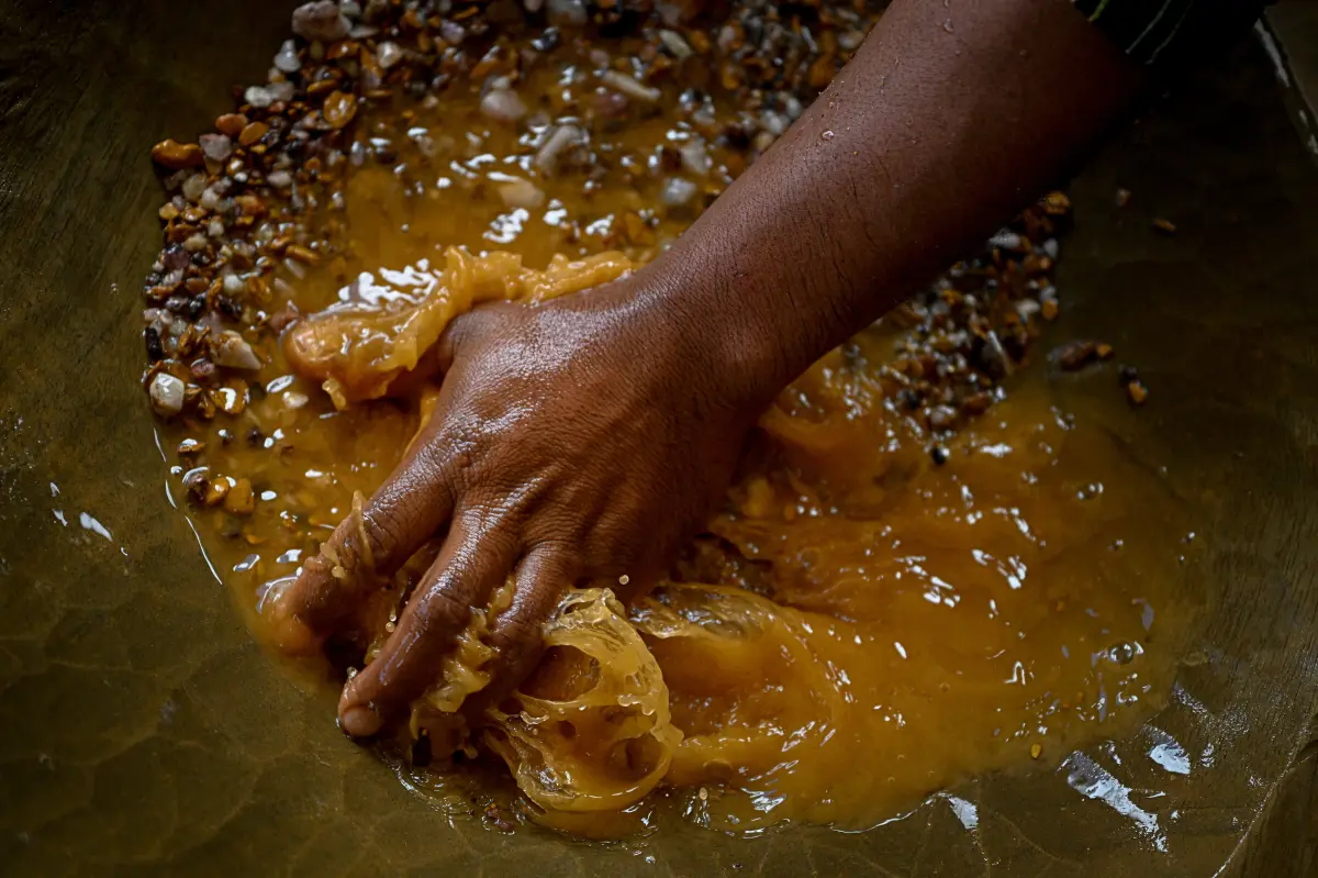 US must halt the terror-driven gold rush that’s looting Venezuela