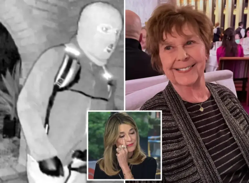 Exclusive | What Nancy Guthrie ransom notes reveal in search for Savannah’s missing mom: retired FBI agent