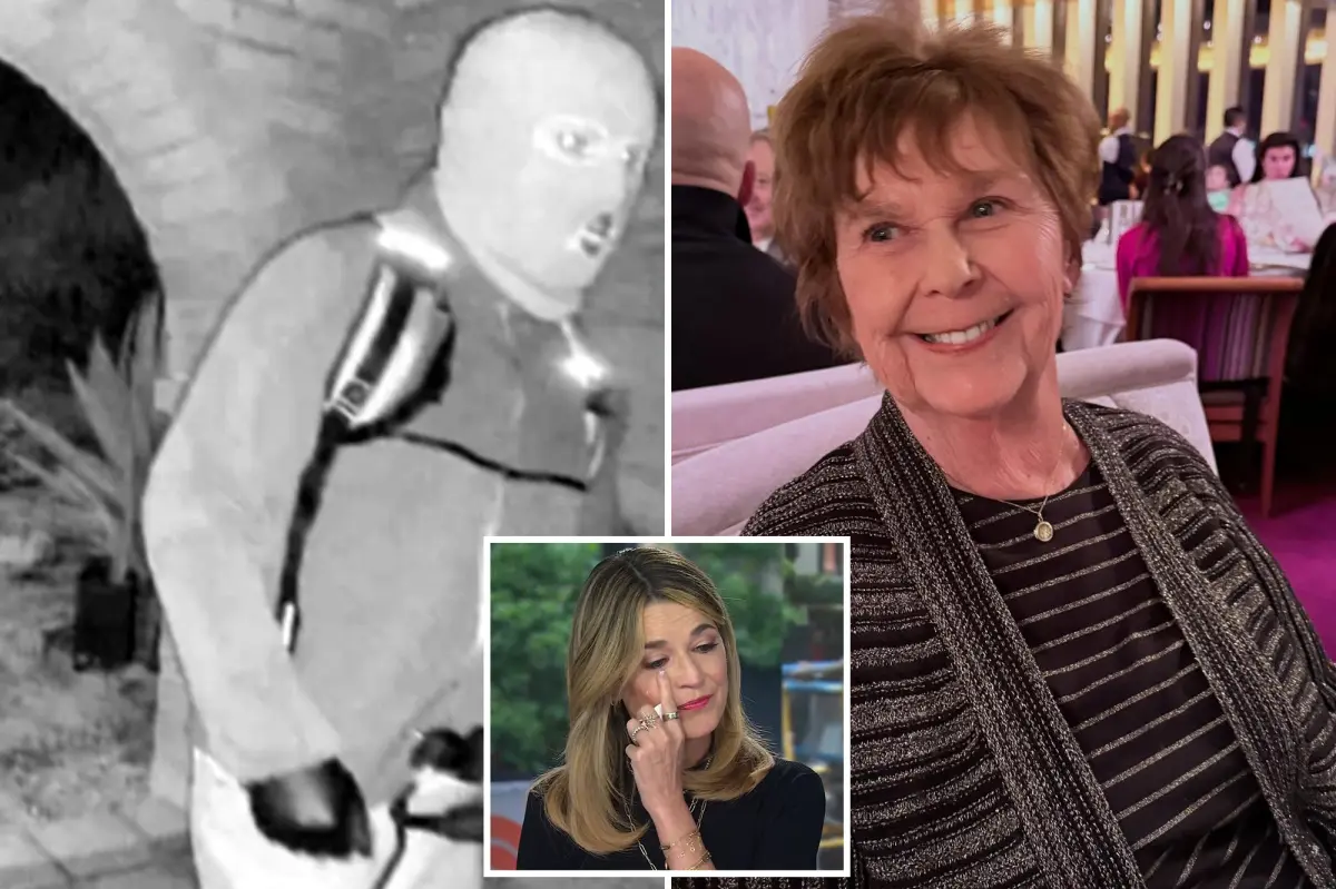 Exclusive | What Nancy Guthrie ransom notes reveal in search for Savannah’s missing mom: retired FBI agent