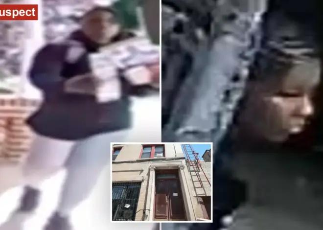 98-year-old beaten with broomstick, chair in NYC by woman campaigning for DSA candidate: cops