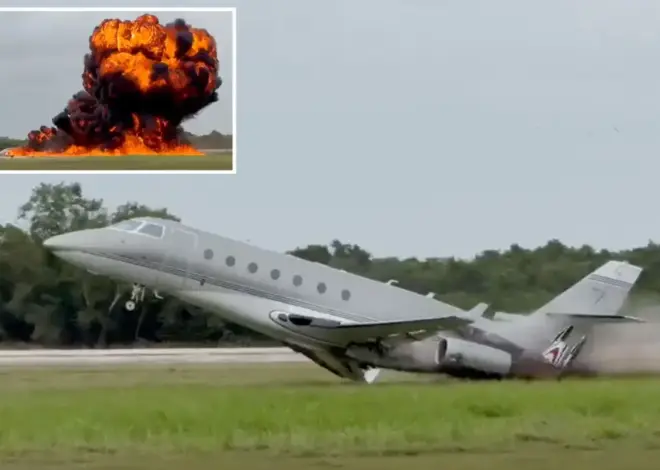 Two dead as private jet crashes in Dominican Republic en route to pick up MLB legend and his family