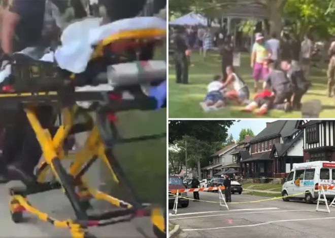 Police hunt suspect after 12 people shot at family-friendly summer festival