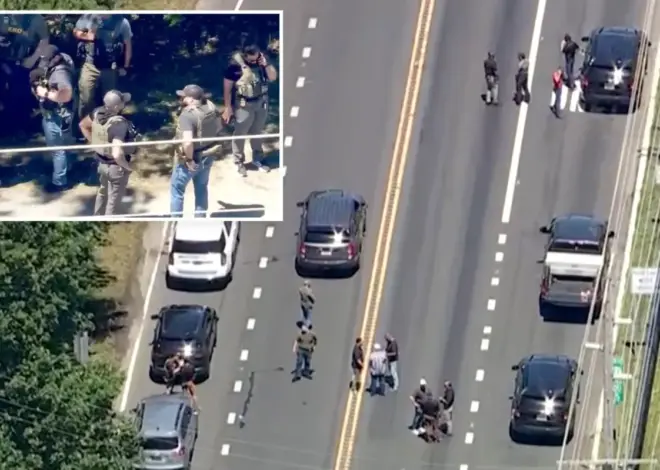 ICE agent in NJ hit by fleeing suspect in van, opens fire