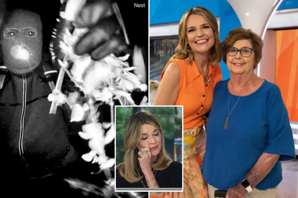New Nancy Guthrie note sent to TMZ claims to have footage of Savannah’s mom on ‘day that was probably her last’