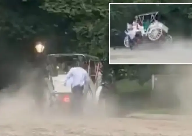 Teen tourist killed after NYC carriage horse gets startled, bolts in Central Park