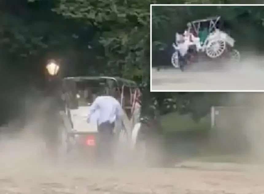 Teen tourist killed after NYC carriage horse gets startled, bolts in Central Park