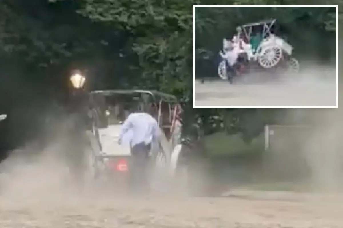Teen tourist killed after NYC carriage horse gets startled, bolts in Central Park