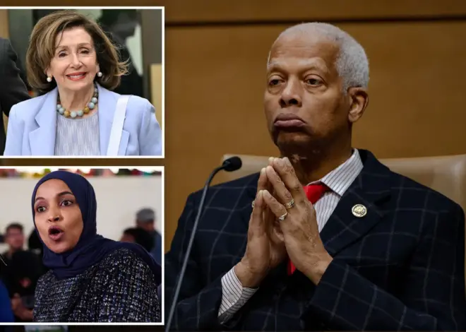 Hank Johnson welcomes incoming socialists as Pelosi, Ilhan Omar refuse to comment on growing DSA influence