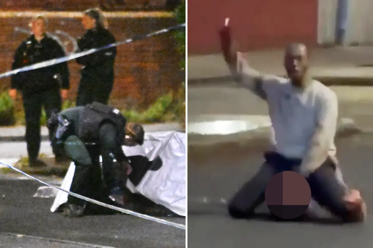 Sudanese migrant arrested for allegedly trying to behead victim in middle of Northern Ireland street