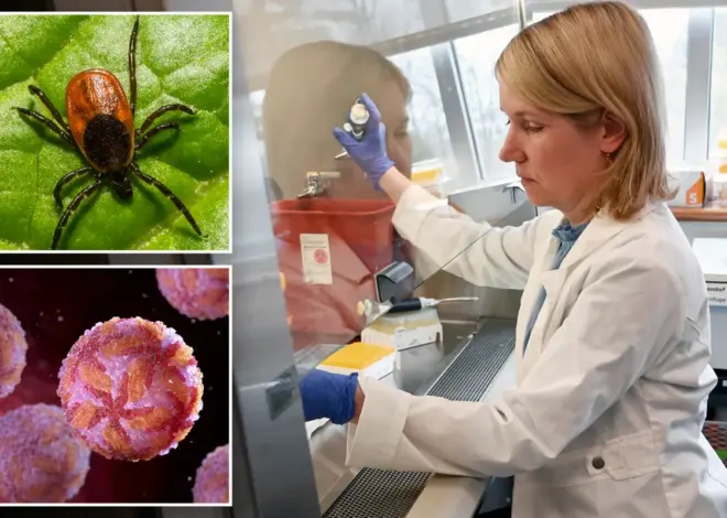 Rare tick-borne virus turns deadly fast as US cases reach record high, experts warn