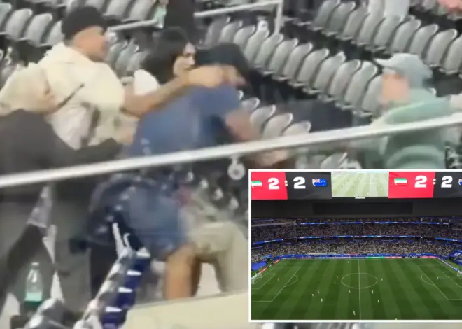 Moment vicious brawl breaks out in stands of Iran World Cup match