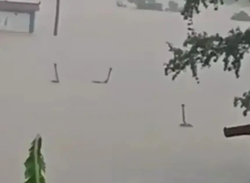 Horrified villagers living in fear after hundreds of venomous snakes escape farm as floodwaters crush city