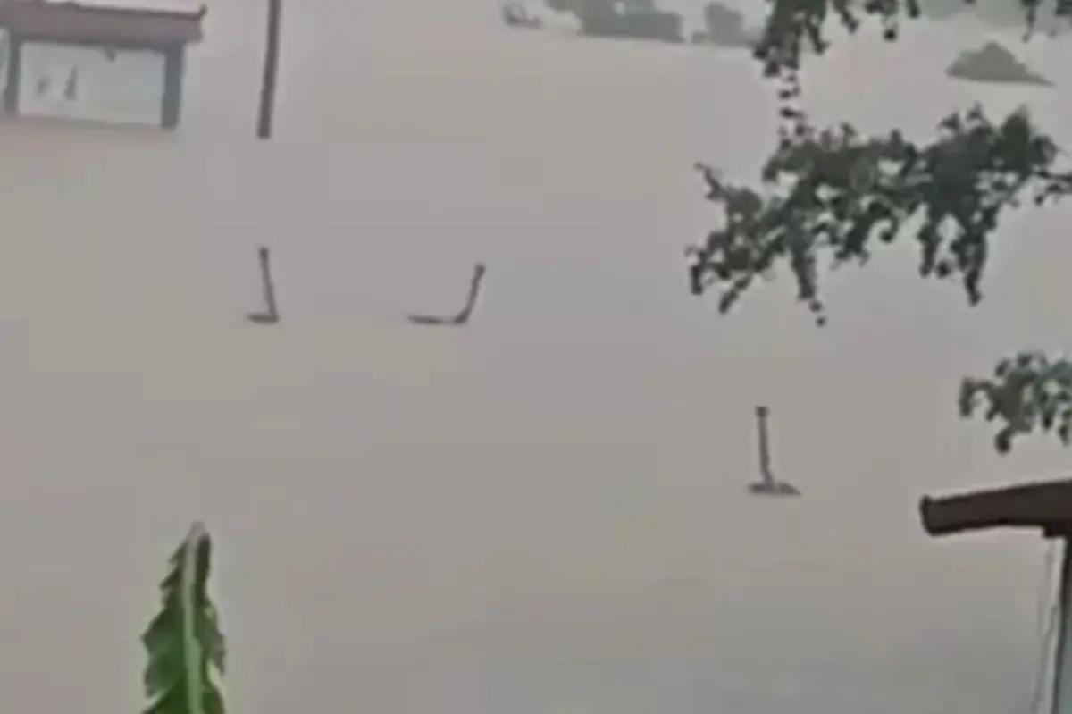 Horrified villagers living in fear after hundreds of venomous snakes escape farm as floodwaters crush city