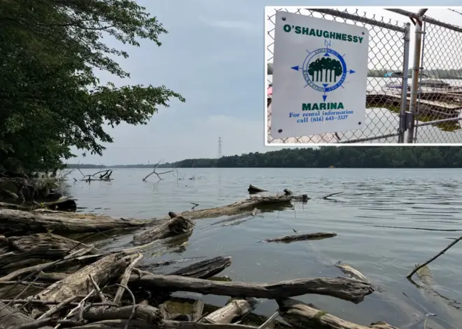 5 dead after two sets of parents rush into Ohio River to rescue struggling swimmer and all drown