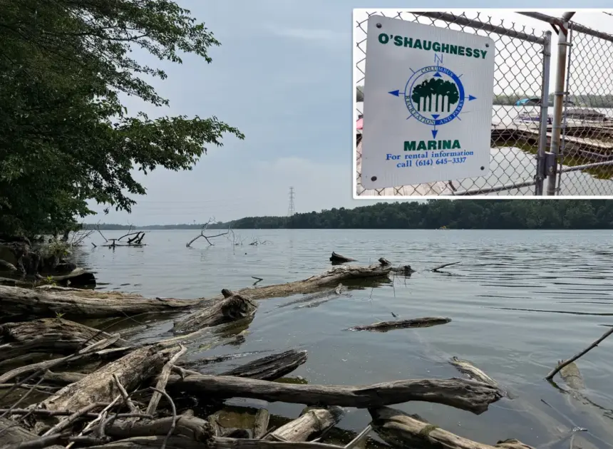 5 dead after two sets of parents rush into Ohio River to rescue struggling swimmer and all drown