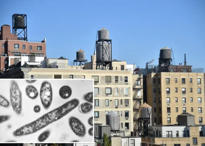 Exclusive | Over half the cooling towers in NYC Legionnaires’ outbreak area issued violations in recent months: records