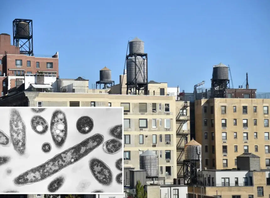 Exclusive | Over half the cooling towers in NYC Legionnaires’ outbreak area issued violations in recent months: records