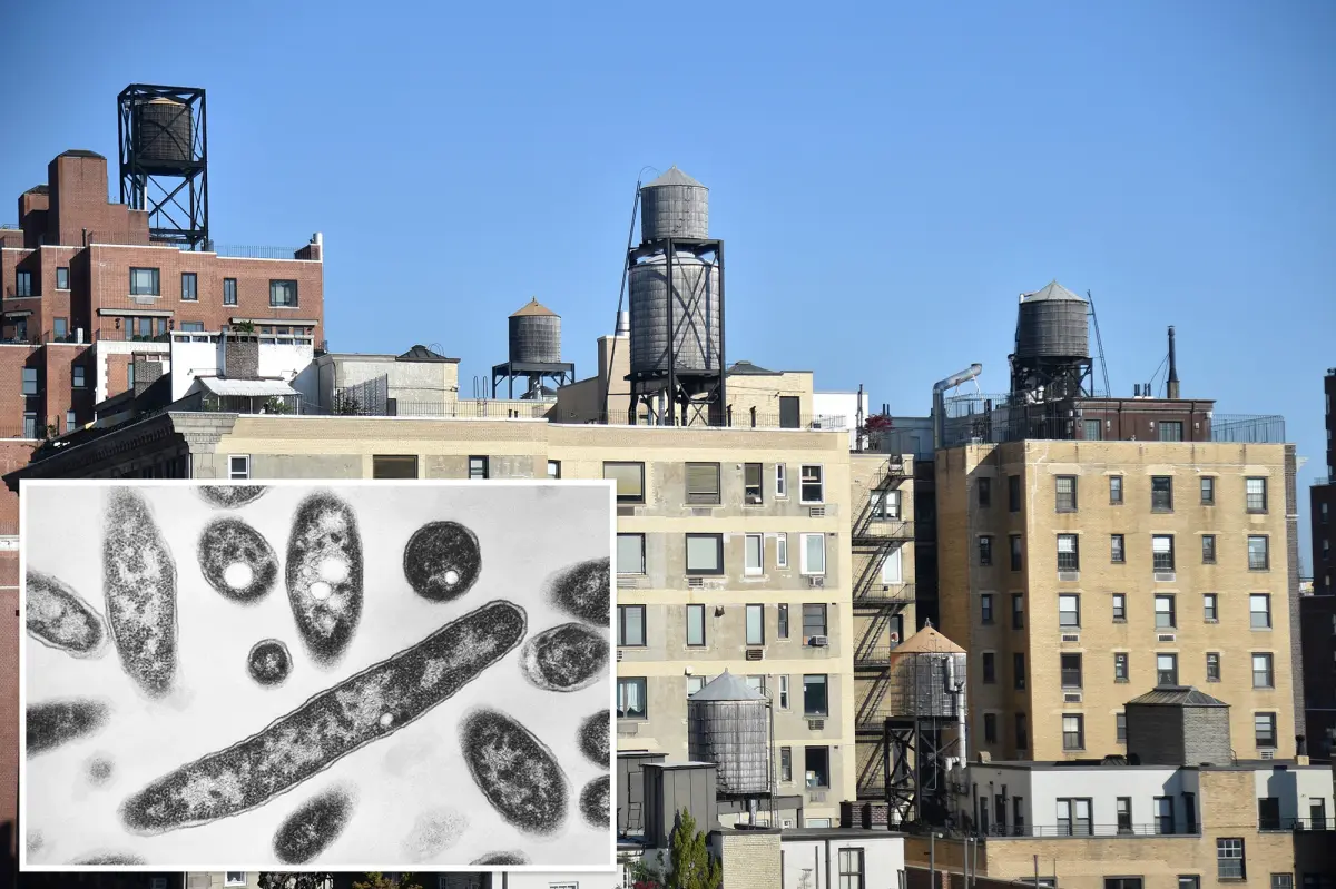 Exclusive | Over half the cooling towers in NYC Legionnaires’ outbreak area issued violations in recent months: records