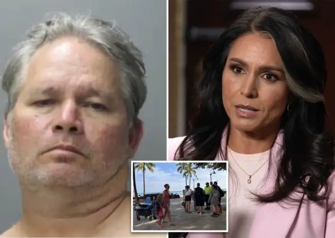 Tulsi Gabbard’s brother accused of trying to lure children to Hawaii hotel room: police