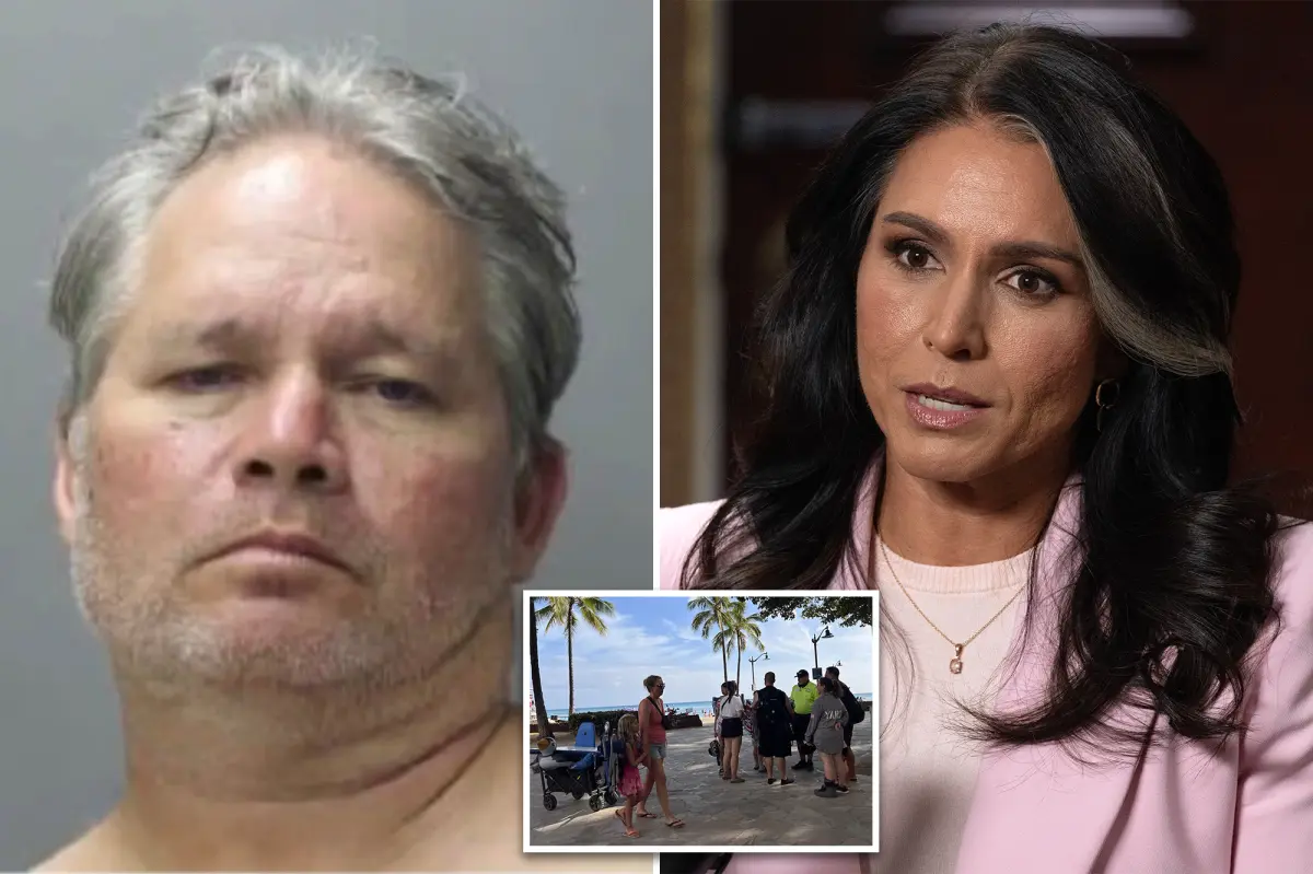 Tulsi Gabbard’s brother accused of trying to lure children to Hawaii hotel room: police