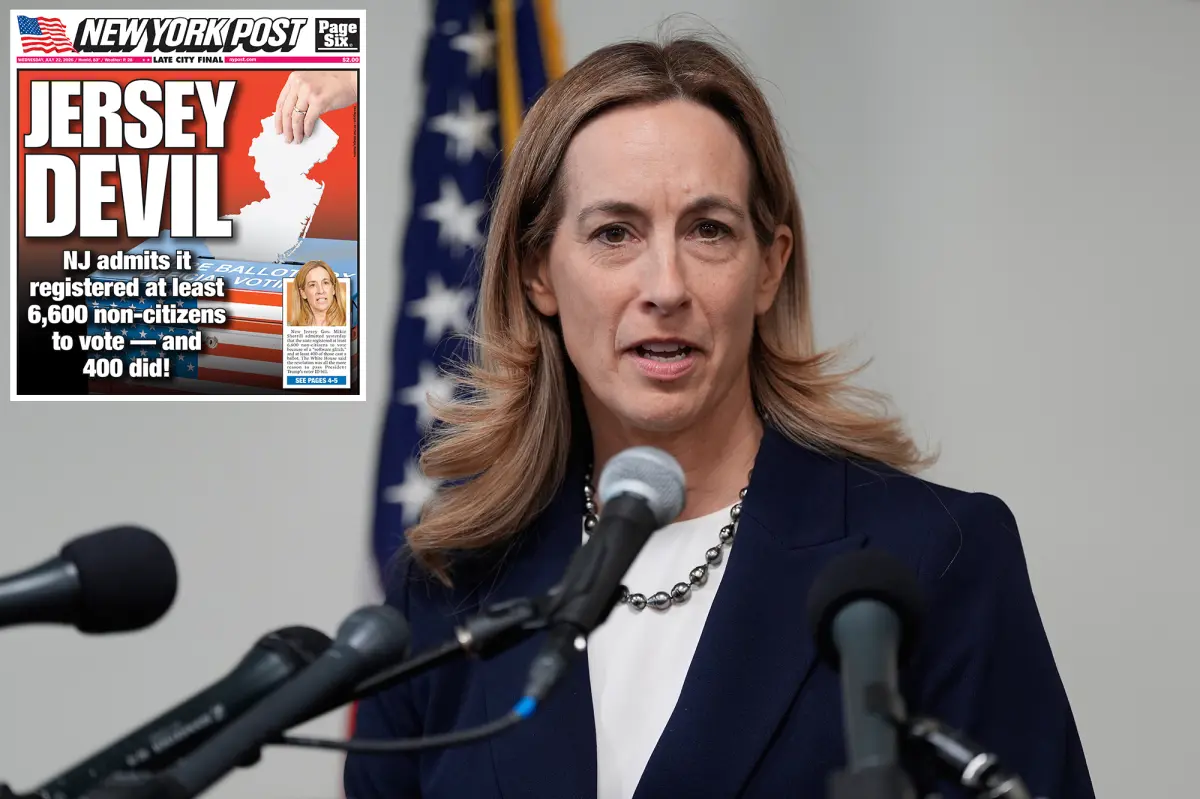 GOP chief claims NJ’s 6,600 non-citizens illegally registered to vote are just tip of the iceberg: ‘More to come’
