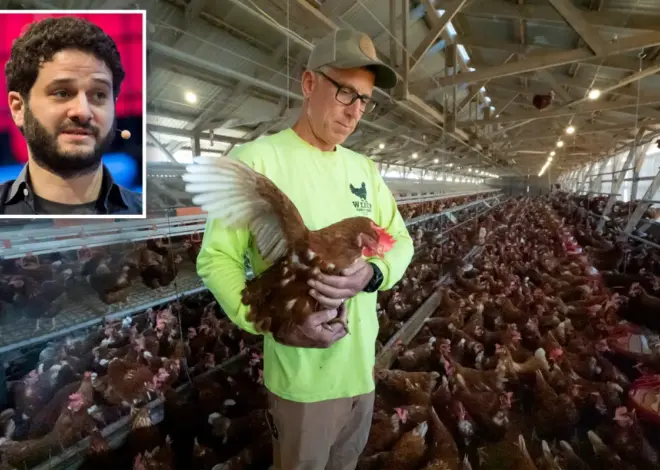 Exclusive | Facebook co-founder Dustin Moskovitz bankrolled $480 million activist crusade that’s made your bacon and eggs pricier