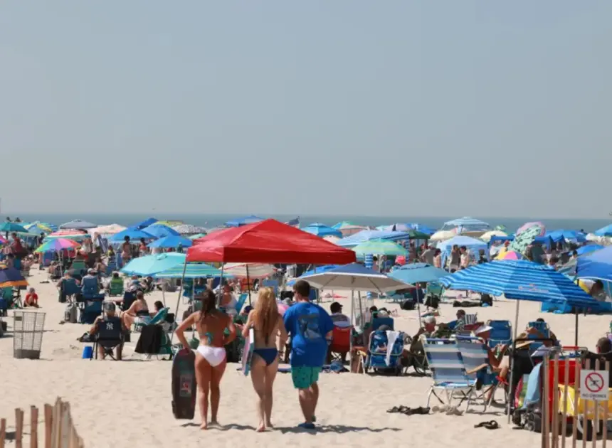 Suspected shark attack at NY beach leaves swimmer’s ‘bone’ exposed: sources