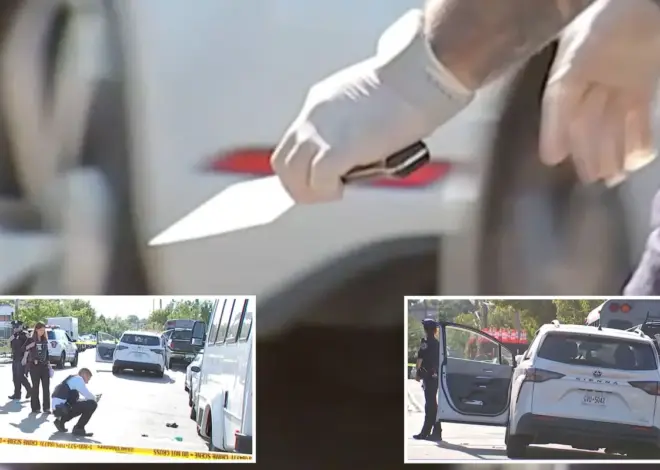 Maniac with meat cleaver hacks man in the head in fit of Queens road rage: sources