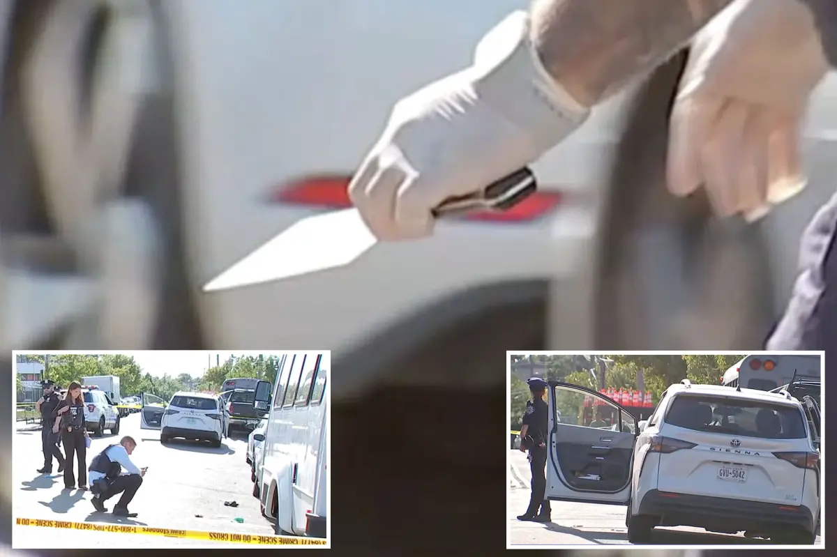 Maniac with meat cleaver hacks man in the head in fit of Queens road rage: sources