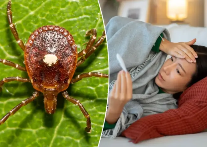 First case of untreatable, potentially fatal Bourbon virus confirmed in New York