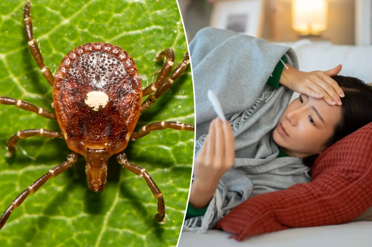 First case of untreatable, potentially fatal Bourbon virus confirmed in New York