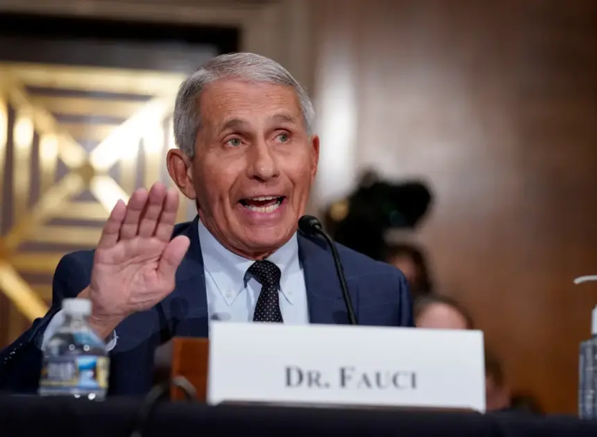 Miranda Devine: Anthony Fauci was the ‘big head’ of COVID response