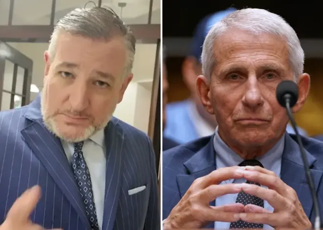 Dr. Anthony Fauci ‘America’s most damaging bureaucrat,’ ‘should go to jail,’ Sen. Ted Cruz says