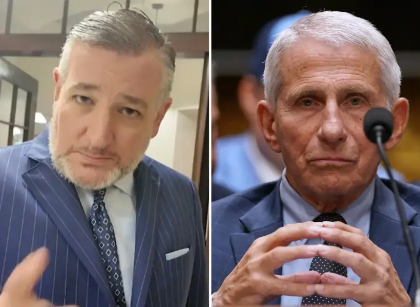 Dr. Anthony Fauci ‘America’s most damaging bureaucrat,’ ‘should go to jail,’ Sen. Ted Cruz says