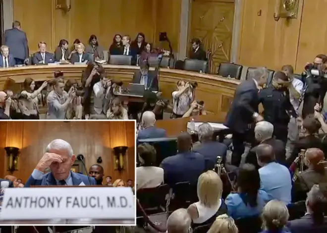 Sen. Rand Paul has Fauci’s attorney thrown out of hearing