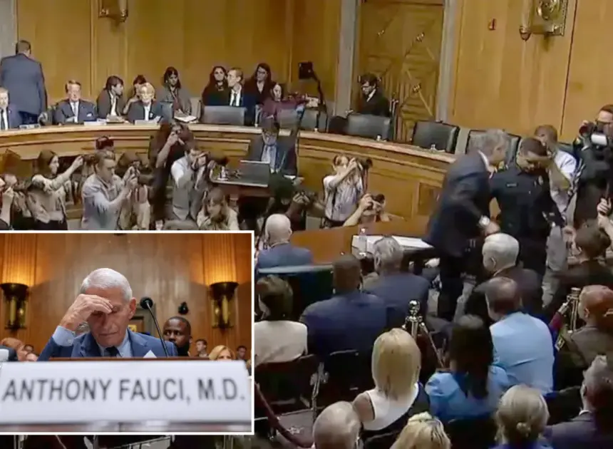 Sen. Rand Paul has Fauci’s attorney thrown out of hearing